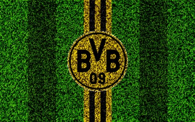 爱游戏电竞动态-佛得角主帅赛后低调发言