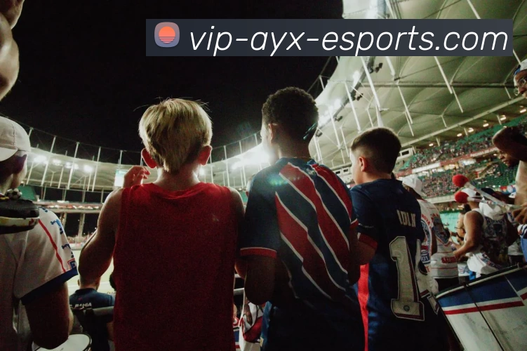 爱游戏电竞VIP平台生态图