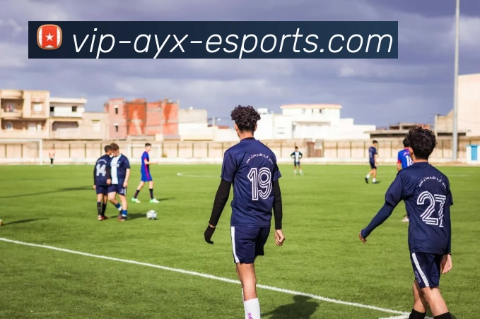 爱游戏电竞VIP全站App